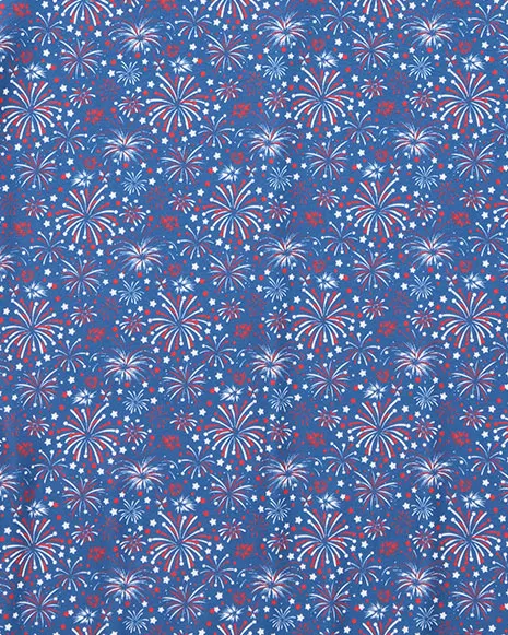 MVP FAIRHOPE FIREWORKS PRINT POLO