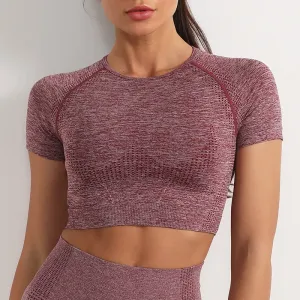 Oona Seamless Short Sleeve Ribbed Knit Crop Top