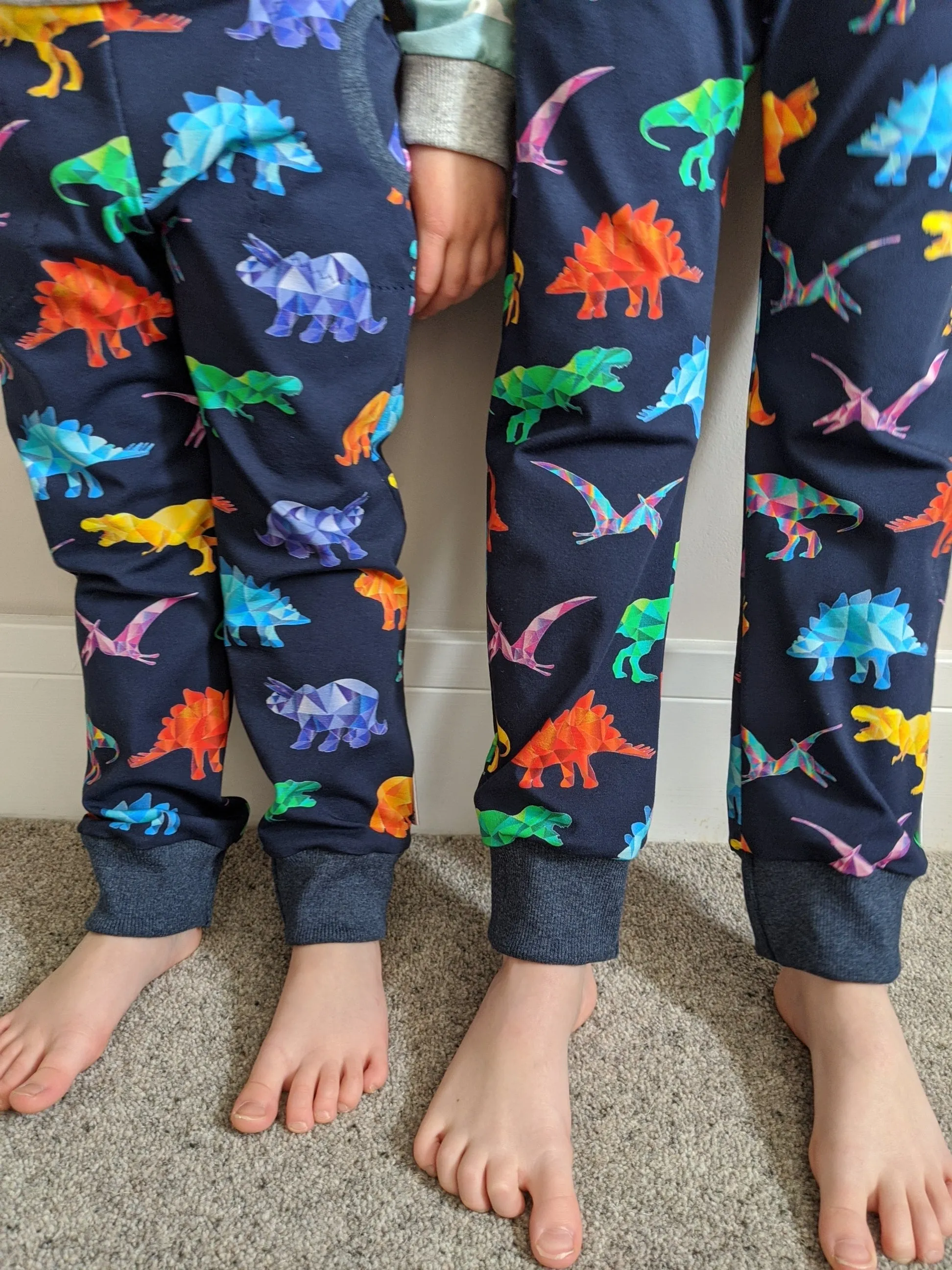 Organic Rainbow Dinosaur Joggers