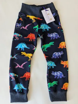 Organic Rainbow Dinosaur Joggers