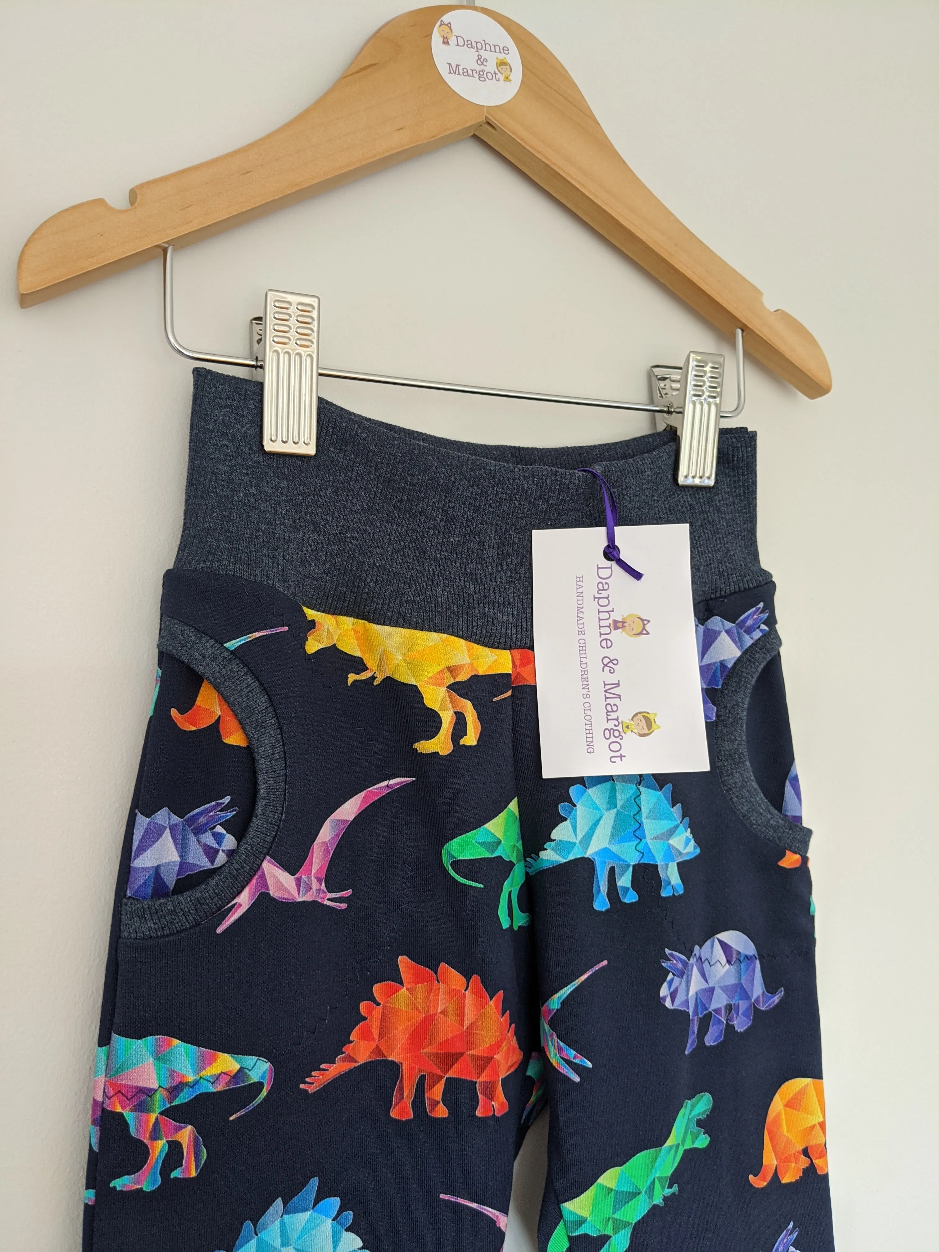 Organic Rainbow Dinosaur Joggers