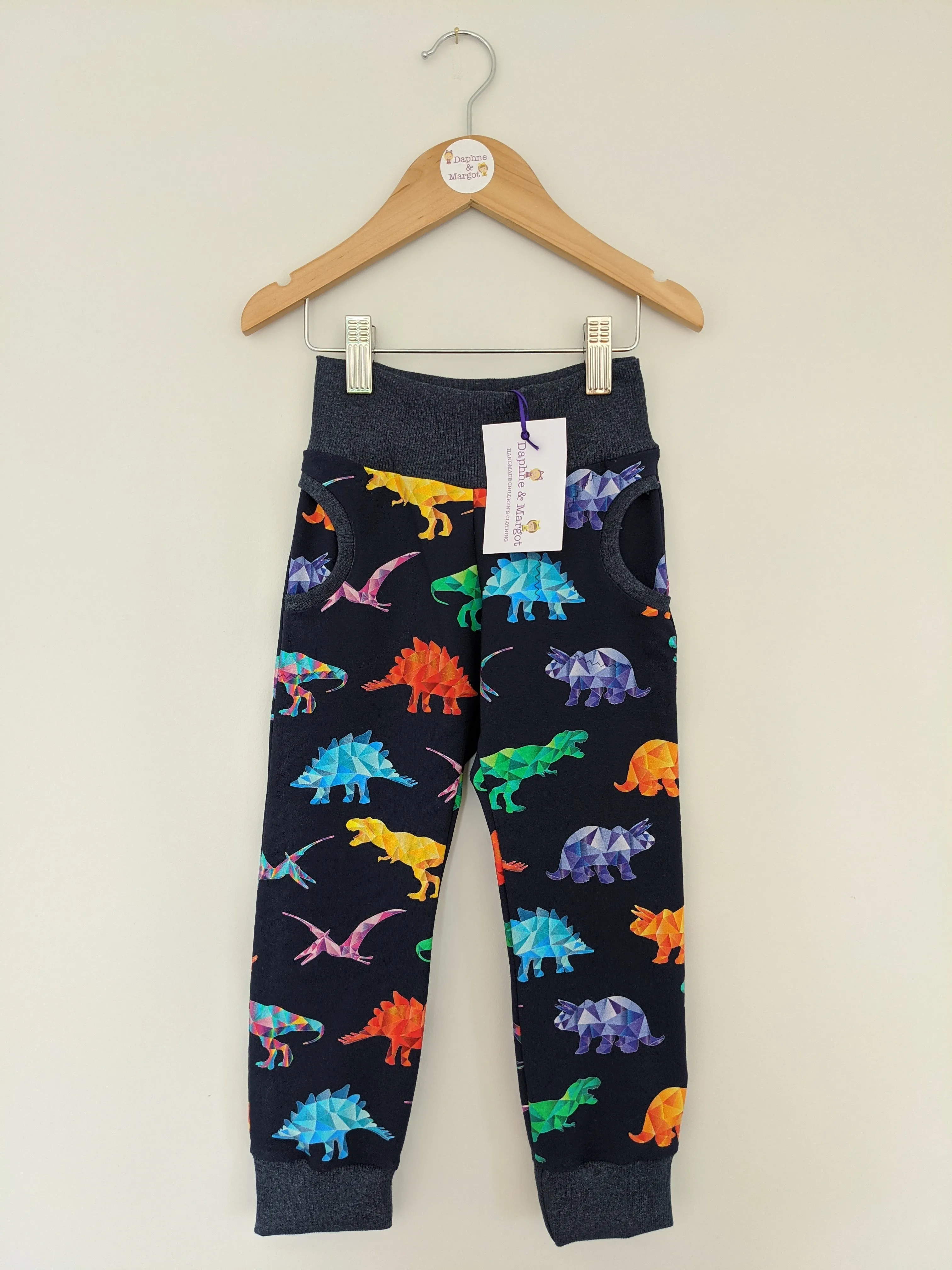 Organic Rainbow Dinosaur Joggers