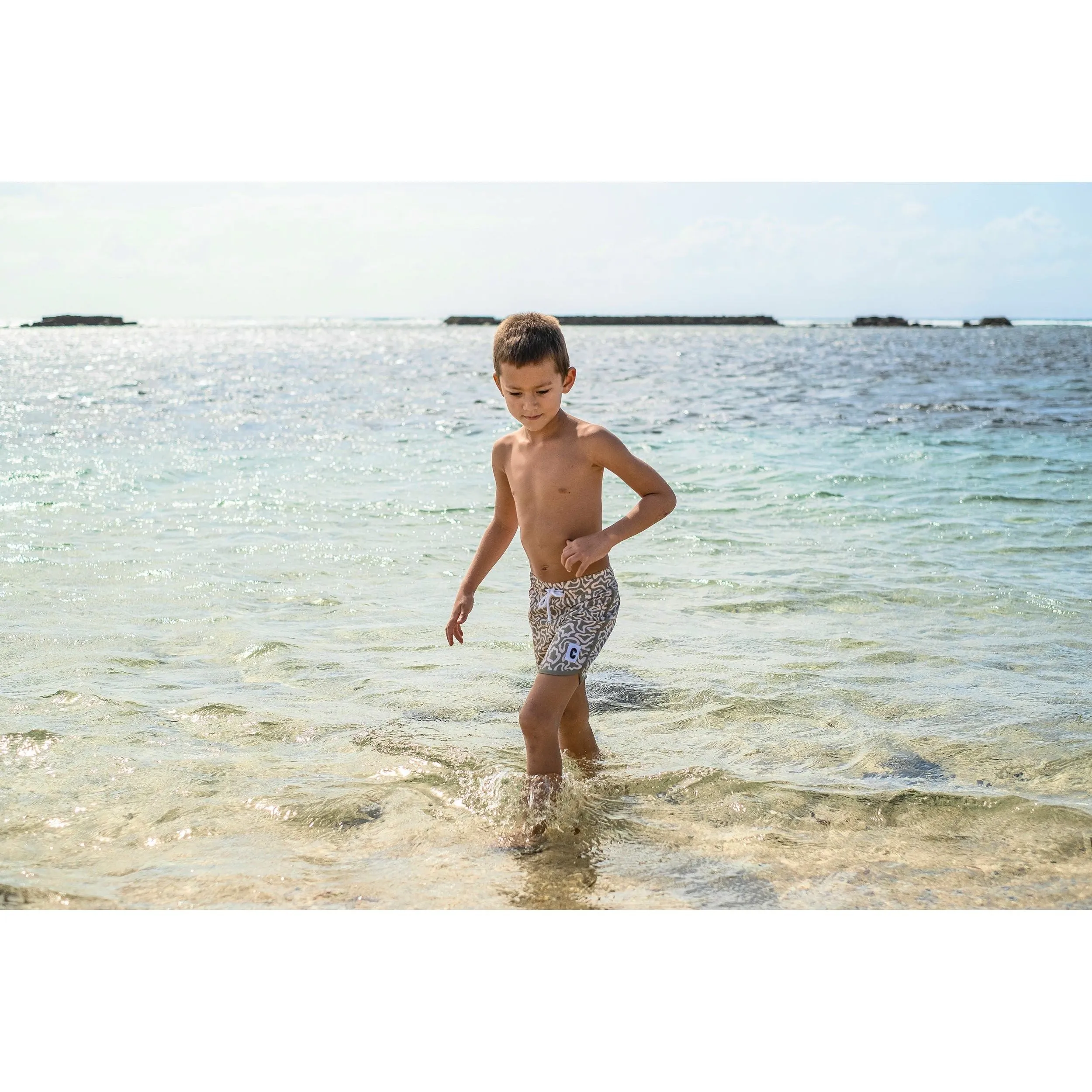 Quick Dry Beach Short - Butterflight Olive
