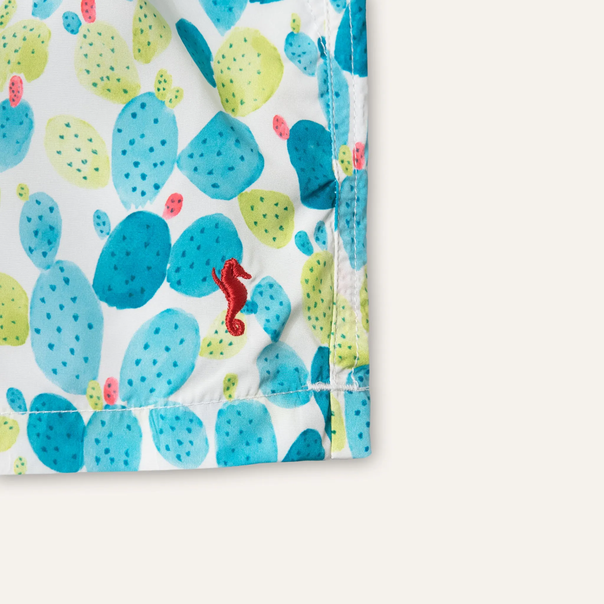 Swim Shorts Long Cactus