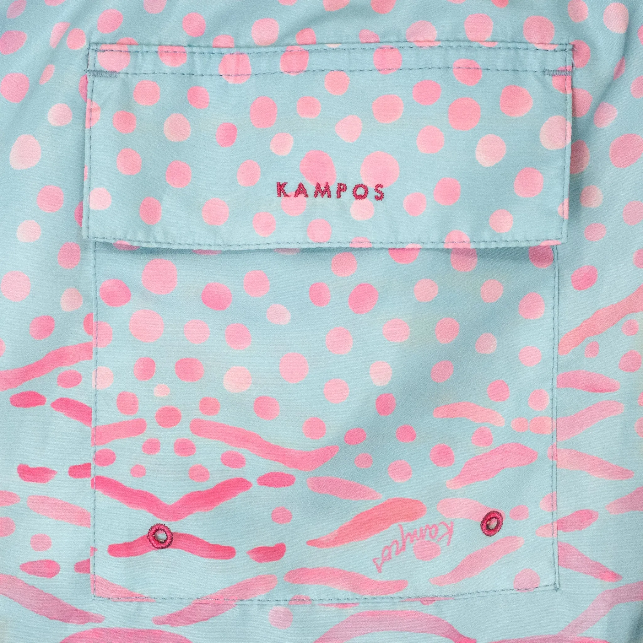 Swim Shorts Parrot Fish